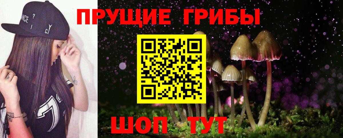 Санкт-Петербург  Галлюциногенные грибы MAGIC MUSHROOMS  Псилоцибиновые грибы Psilocybine cubensis  Вход с VPN 